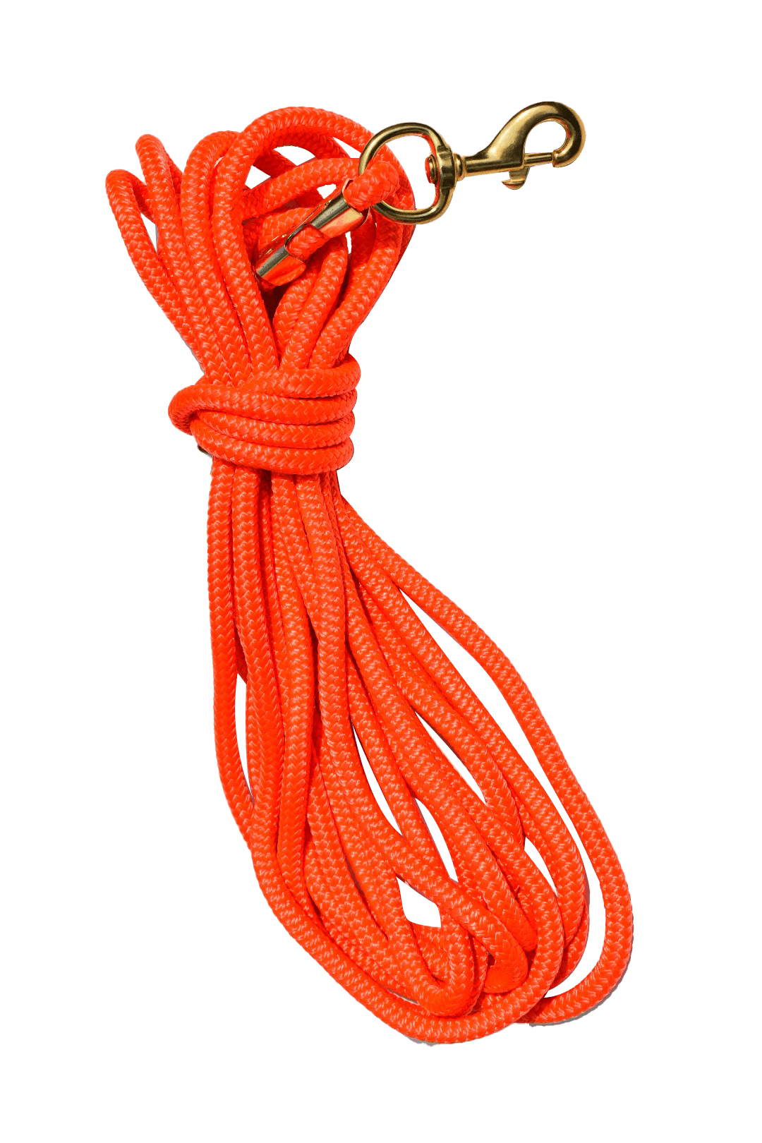 30ft Nylon Dog Training Check Cord / Rope