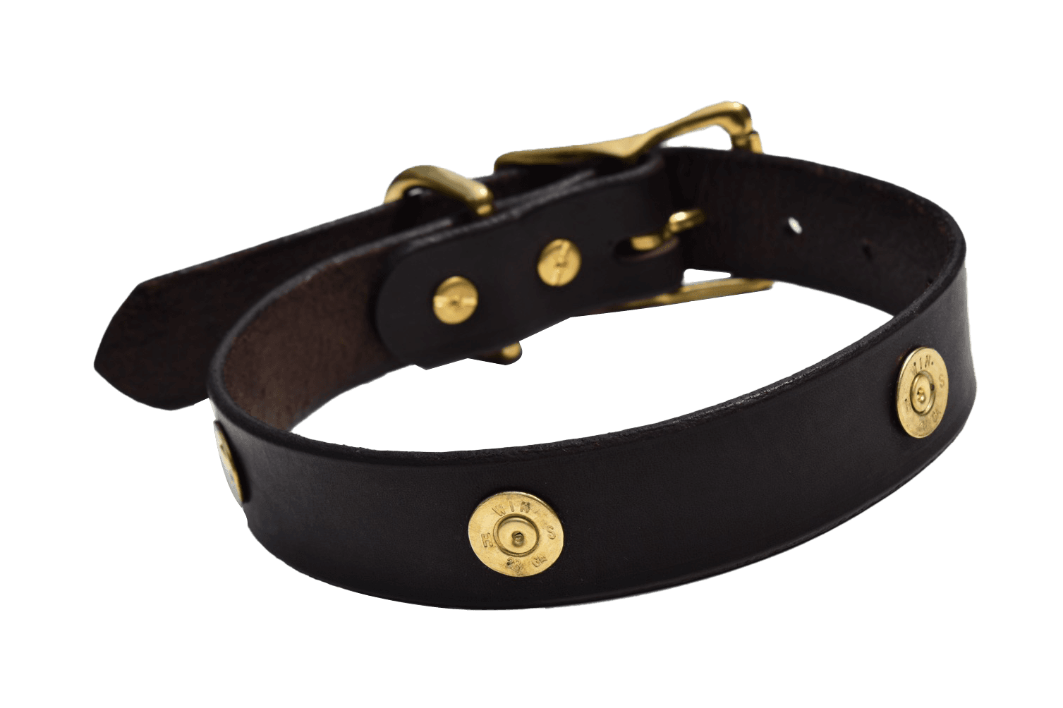 Dog Collar Decorated With Shotgun Shells