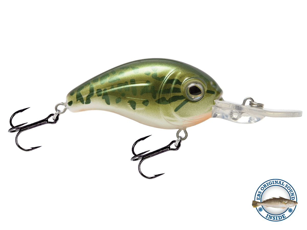 Dive Master Jr 8