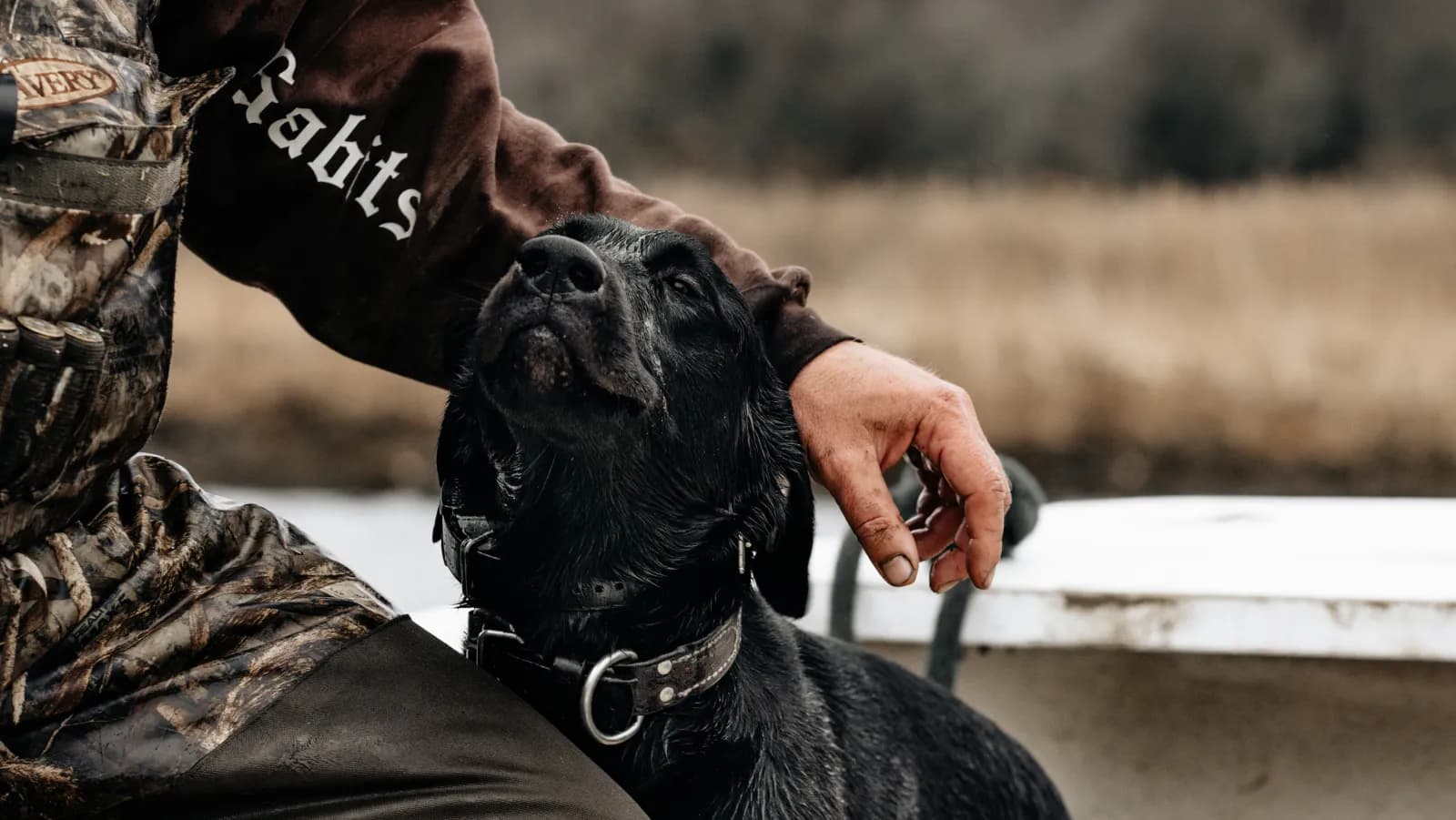Dog Training